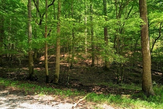 LOT 1972 Nancy Ct, Ellijay, GA 30540