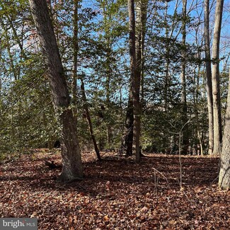 0 MacHodoc Creek Rt218 Unit VAKG2004300, King George, VA 22485