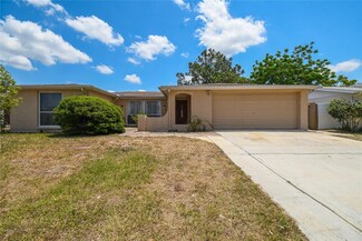 9100 Hermitage Ln, Port Richey, FL 34668