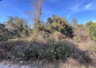 0 SE 141st Place Unit MFRTB8353704, Umatilla, FL 32784