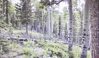 425 Rim Rd, Cimarron, CO 81220