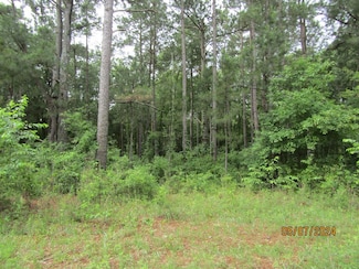 7275 Beulah Ln, Baconton, GA 31716