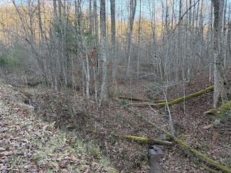00 Lot 15 Gold Mountain High, Franklin, NC 28734