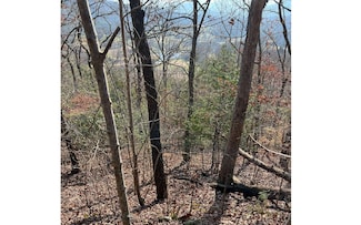 56C Indian Trail, Hayesville, NC 28904