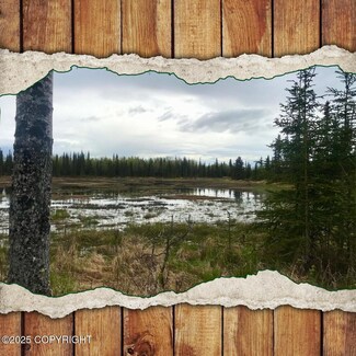 23650 Lost St, Kasilof, AK 99610