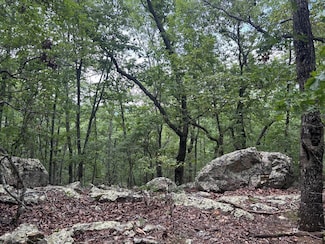 27.2 ac Barnes Mill Rd, Hamilton, GA 31811