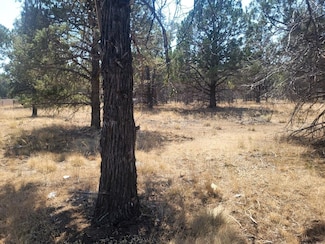 Unit 2 Lot 607 Mrgudich Rd Unit 2, Dorris, CA 96023