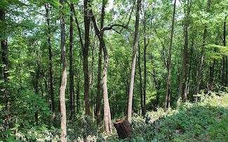 LT 73 Shiloh Ridge, Hayesville, NC 28904