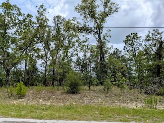 2450 W Rutland Dr, Citrus Springs, FL 34434