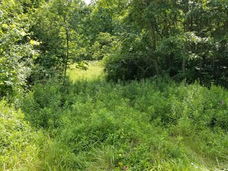 0000 Dumont Rd, Allegan, MI 49010
