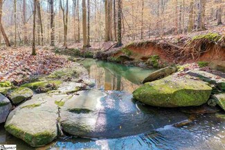 0 Forest Rd, Clinton, SC 29325