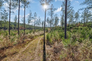 0 County Road 62 Unit 22722996, Gaylesville, AL 35973