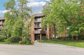 263 S Clubhouse Dr Unit 117, Palatine, IL 60074