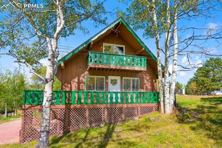 95 Club Dr, Woodland Park, CO 80863