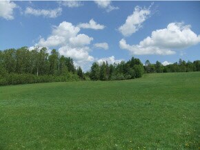 0 Vermont 105, West Charleston, VT 05872