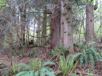 280 Bruno Place, Longview, WA 98632