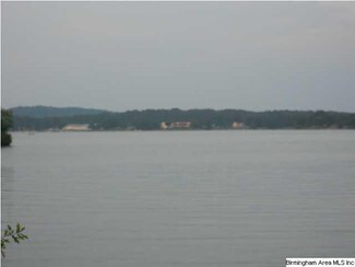 117 Harmon's Island Rd, Pell City, AL 35054