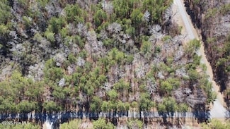 Lot 24 Long Point Rd, Blounts Creek, NC 27814