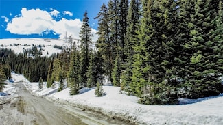 233 Camron Ln, Breckenridge, CO 80424