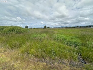 3 Springer St, Puget Island, WA 98612
