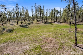 5742 Corkscrew Canyon Rd, Tumtum, WA 99034