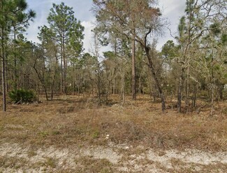 Lot 26 SW 68th Loop, Rainbow Springs, FL 34432