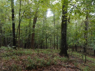 0 Anding Oil City Rd Unit 25080163, Bentonia, MS 39040