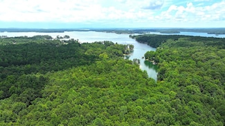 240 Cagles Cove, Eclectic, AL 36024