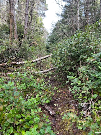 00 SW Forestry Ln, Waldport, OR 97394