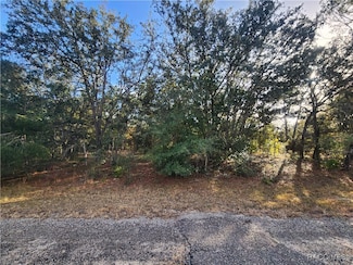 2176 W Conway Dr, Citrus Springs, FL 34434