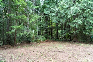 51 Trail Head Loop, Lilliwaup, WA 98555