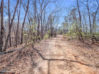 000 Forester Ln Unit 25, Mill Spring, NC 28756