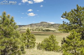 129 Eagle Nest Trail, Guffey, CO 80820