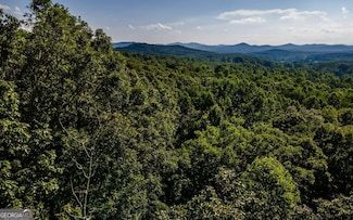 L11 Mattie Ln, Blairsville, GA 30512