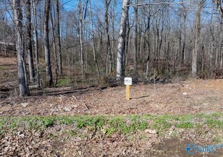 Lot 11&12 County Road 825, Scottsboro, AL 35768