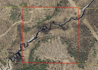 40 Acres Near Griffith Rd, Butternut, WI 54514