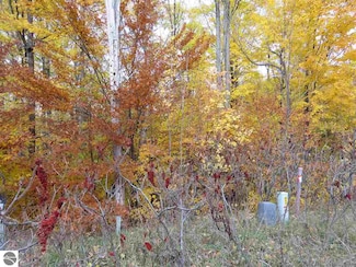 Lot 81 Eden St Unit 81, Kingsley, MI 49649