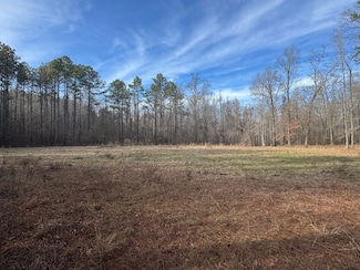 Lot Unit 158 Black Warrior Ba, Sawyerville, AL 36776