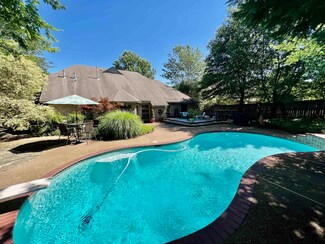8451 Wolf Trace Ln, Memphis, TN 38133