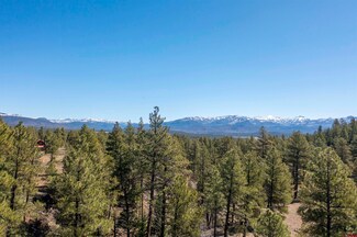 1034 Great Ave W, Pagosa Springs, CO 81147