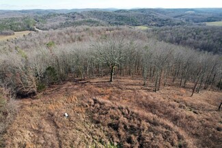 Lots 37&38 Scenic Riverway Hills Estates, Eminence, MO 65466