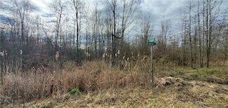 0 16th St Unit 4450324, Sebring, OH 44672