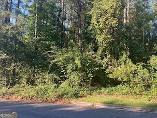 0 Stonemeade Ct SW, South Fulton, GA 30331