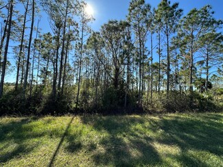16322 NW 294th St, Okeechobee, FL 34972