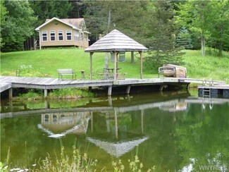 8660 Oramel Hill Rd Unit 16, Caneadea, NY 14717