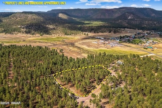 0 Cr2325 Unit 256739, Alpine, AZ 85920