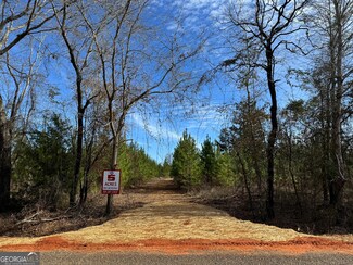 04 Dozier Rd, Ellaville, GA 31806