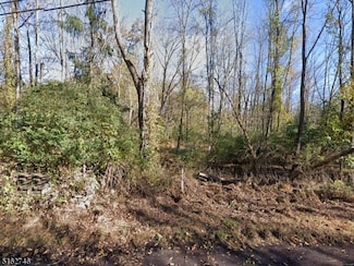 76 South St, Frelinghuysen Twp., NJ 07821