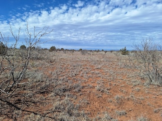 05 Magnolia, Garita, NM 88421