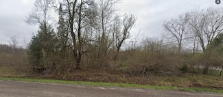VL W Frances Rd, Flushing, MI 48433